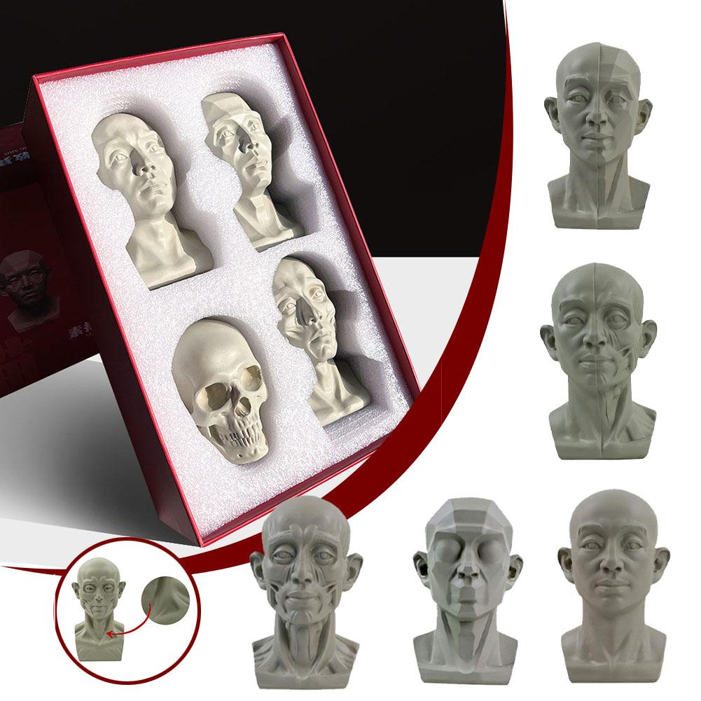 Resin Art Learning - Alat Bantu Mengajar Potret Plester Seni