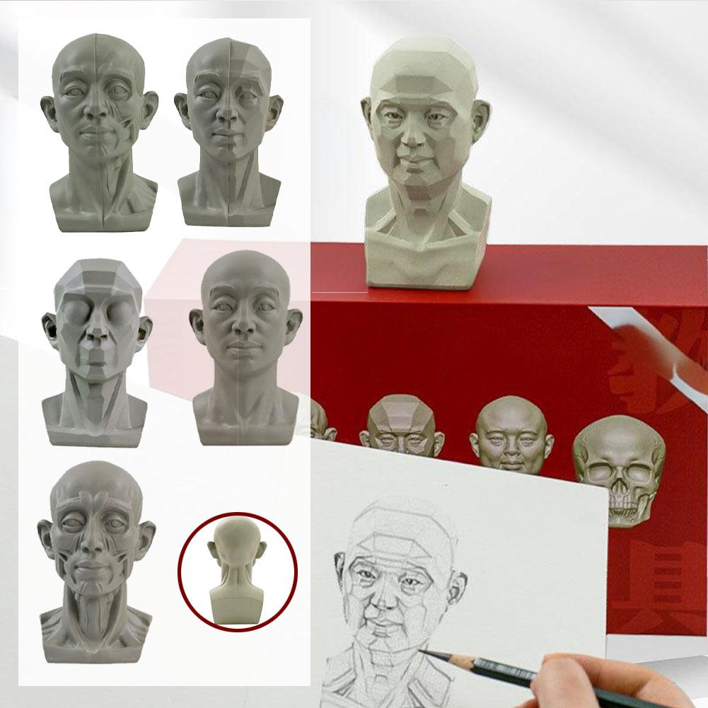 Alat Bantu Mengajar Potret Ple - Resin Art Learning ulasan dan harga
