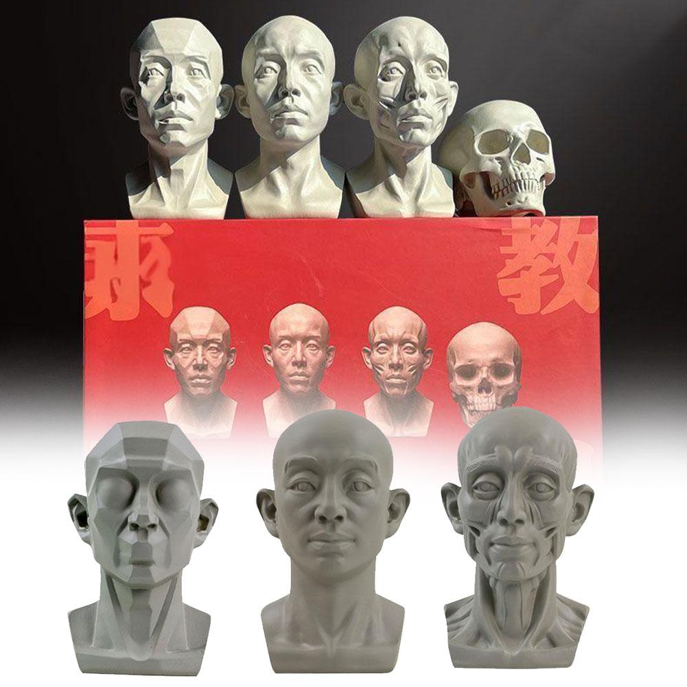 Alat Bantu Mengajar Potret Ple - Resin Art Learning ulasan dan harga